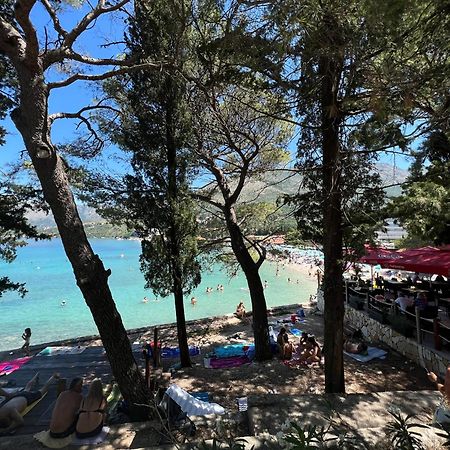 A&M Cavtat Family Apartment - 3 Bedrooms And Free Parking Eksteriør billede