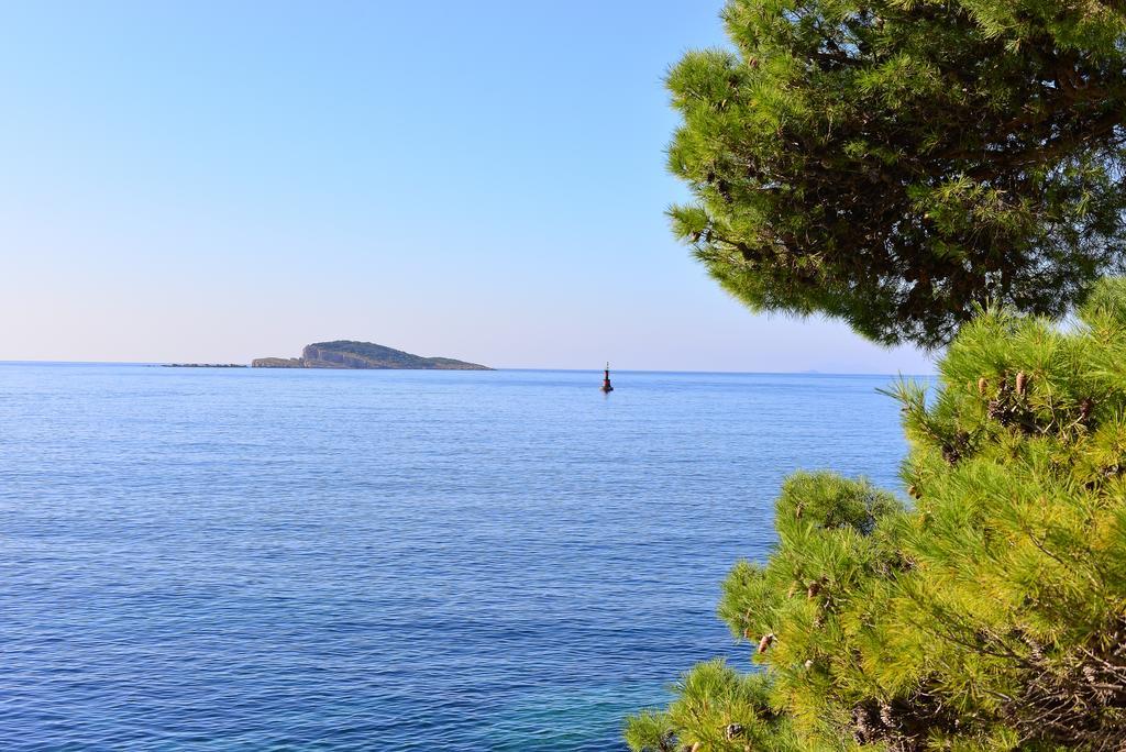 A&M Cavtat Family Apartment - 3 Bedrooms And Free Parking Eksteriør billede