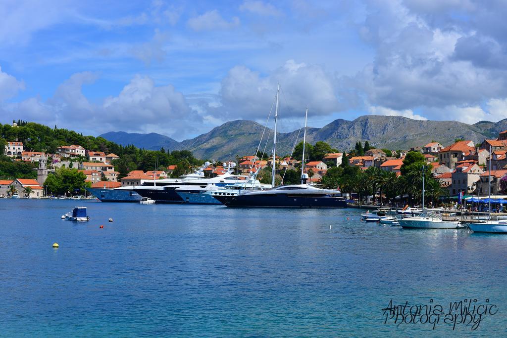 A&M Cavtat Family Apartment - 3 Bedrooms And Free Parking Eksteriør billede